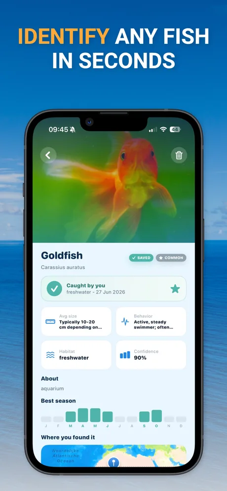 Fish Identifier app showing an identification result for a goldfish with scientific name, habitat, size, and best season